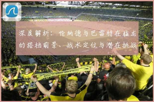深度解析:伦纳德与巴雷特在猛龙的搭档前景、战术定位与潜在挑战